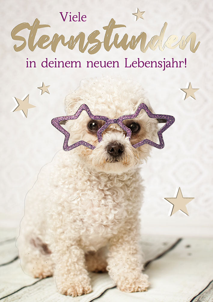Sternstunden Geburtstagskarte „Pudel mit Sternbrille“