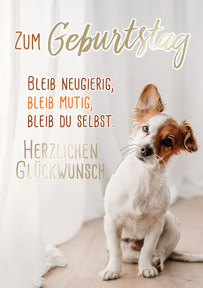 Sternstunden Geburtstagskarte „Neugieriger Hund“