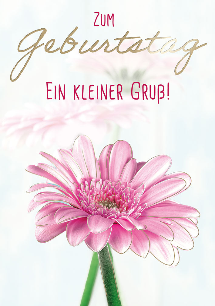 Sternstunden Geburtstagskarte „Pinke Gerbera“