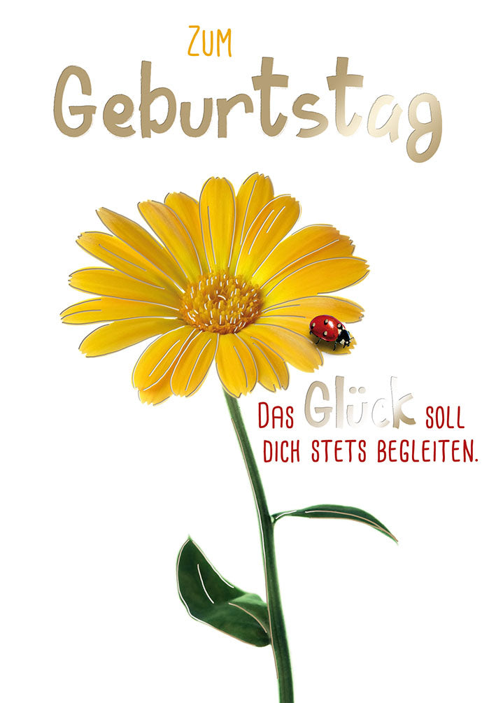 Sternstunden Geburtstagskarte „Gelbe Blume mit Marienkäfer“