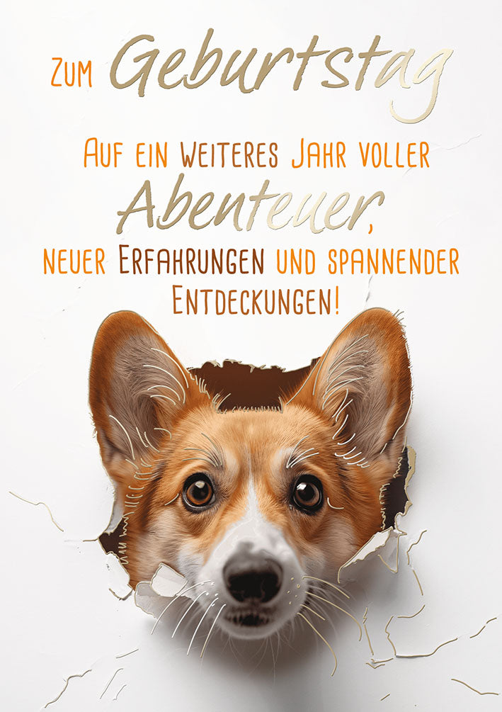 Sternstunden Geburtstagskarte „Corgi auf Abenteuer“