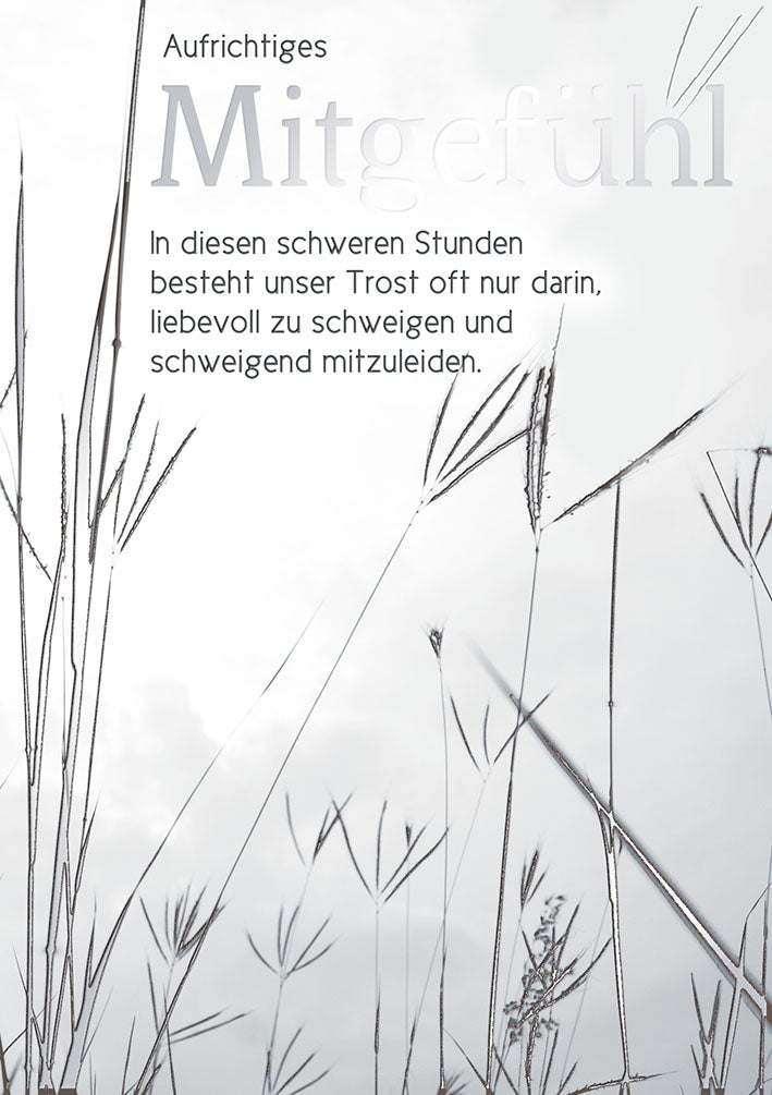 Sternstunden Trauerkarte „Gräser“