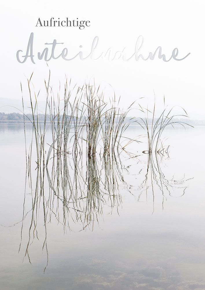 Sternstunden Trauerkarte „Schilf am See“