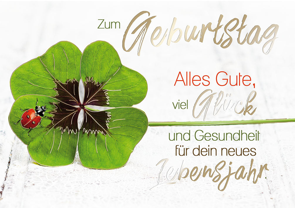 Sternstunden Geburtstagskarte „Kleeblatt mit Marienkäfer“