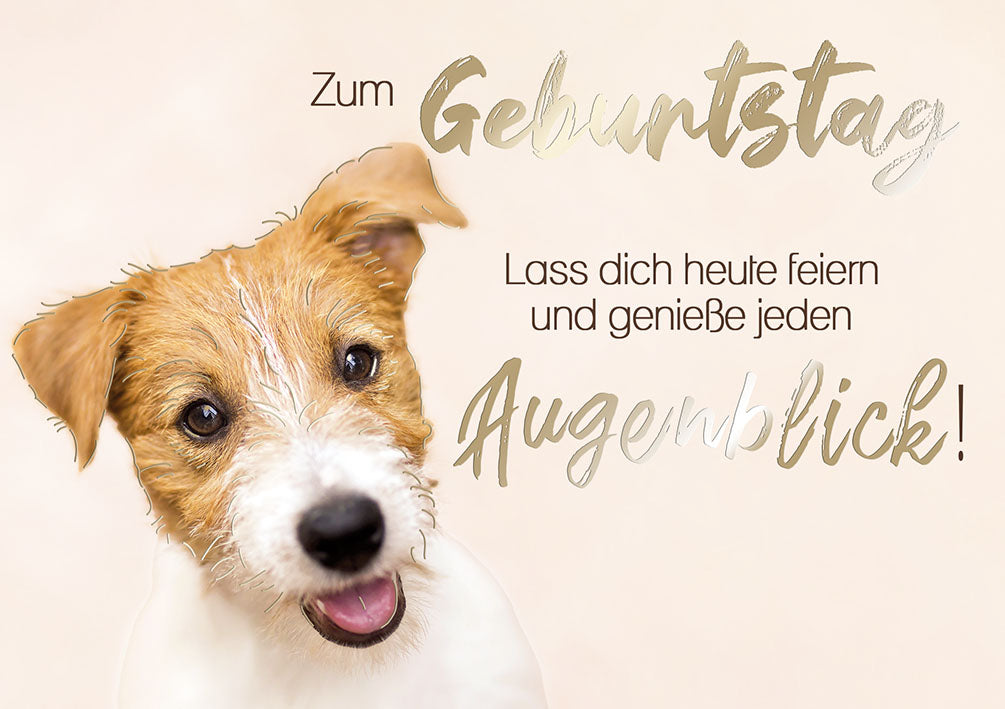 Sternstunden Geburtstagskarte „Hund – Lass dich heute feiern“