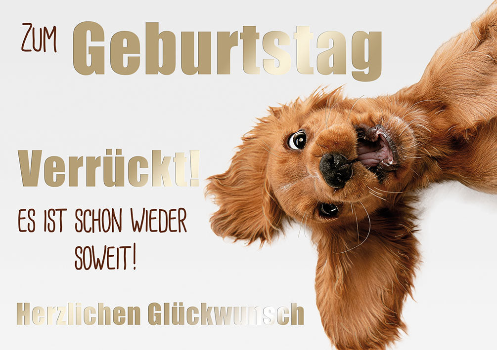 Sternstunden Geburtstagskarte „Verrückter Hund“