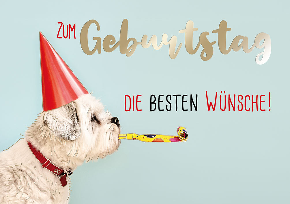 Sternstunden Geburtstagskarte „Hund mit Partyhut“