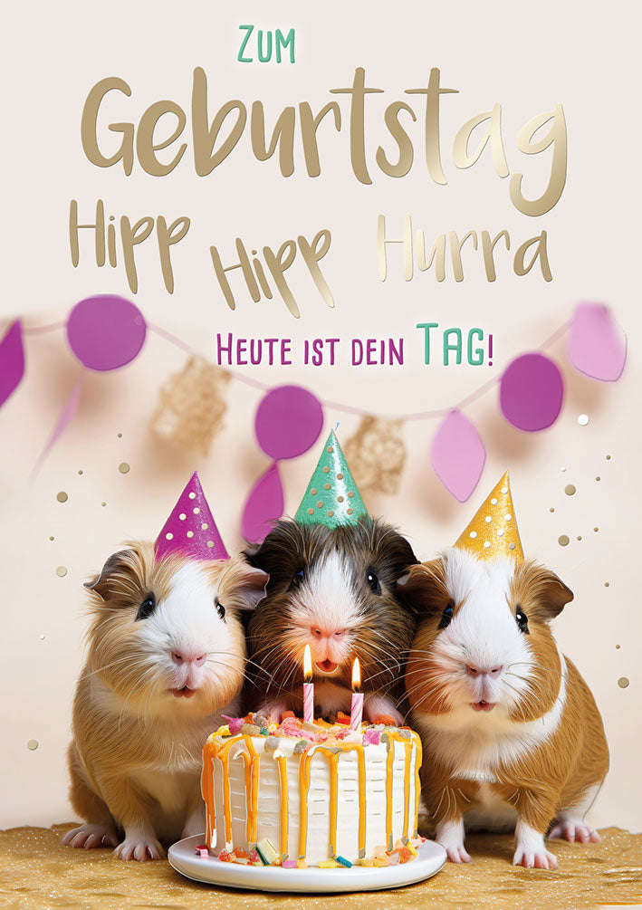Sternstunden Geburtstagskarte „Hipp hipp hurra“