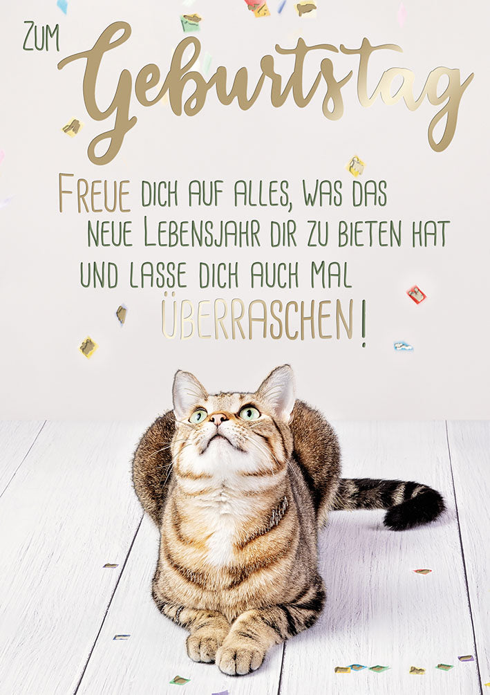 Sternstunden Geburtstagskarte „Katze“
