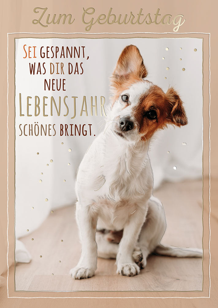 Blue Emotions Geburtstagskarte „Jack-Russell-Welpe“