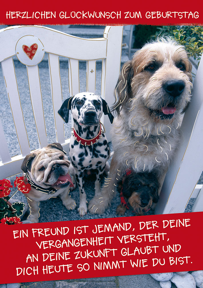 Blue Emotions Geburtstagskarte „Hundefreunde“