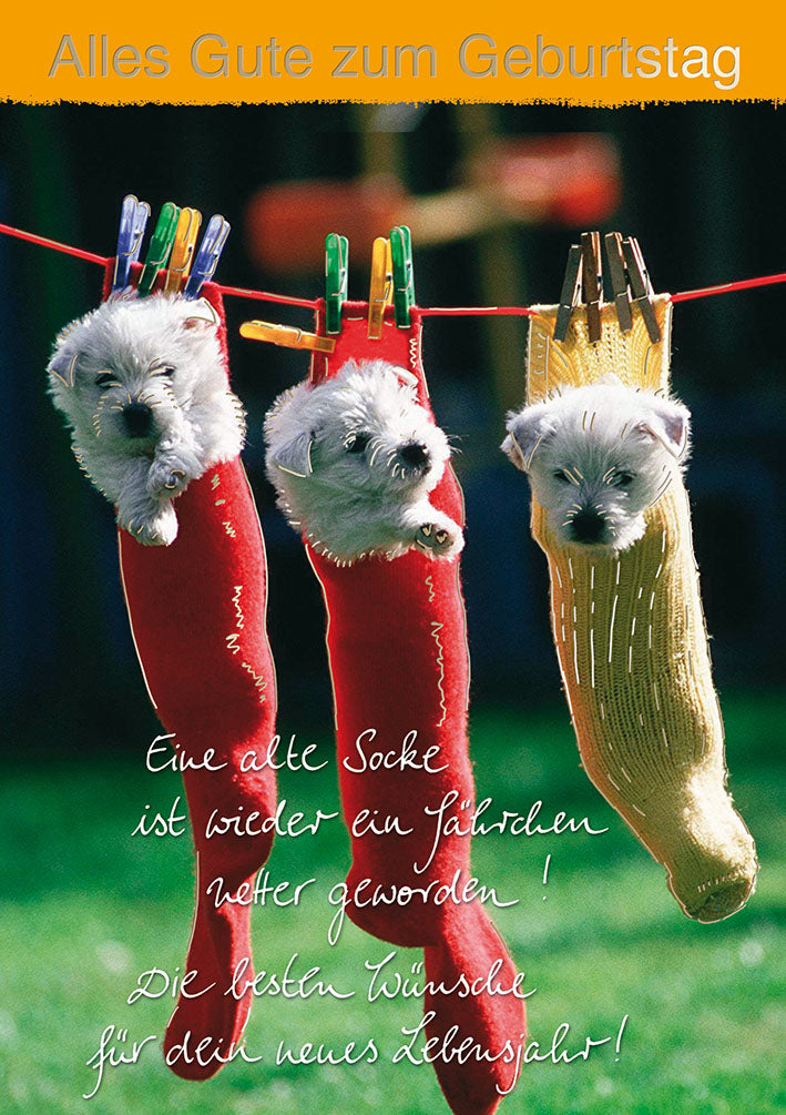 Blue Emotions Geburtstagskarte „Welpen in Socken“
