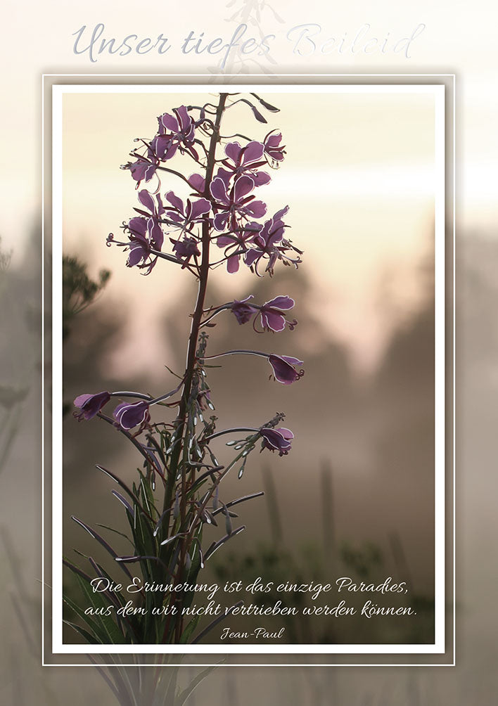 Blue Emotions Trauerkarte „Wildblume“