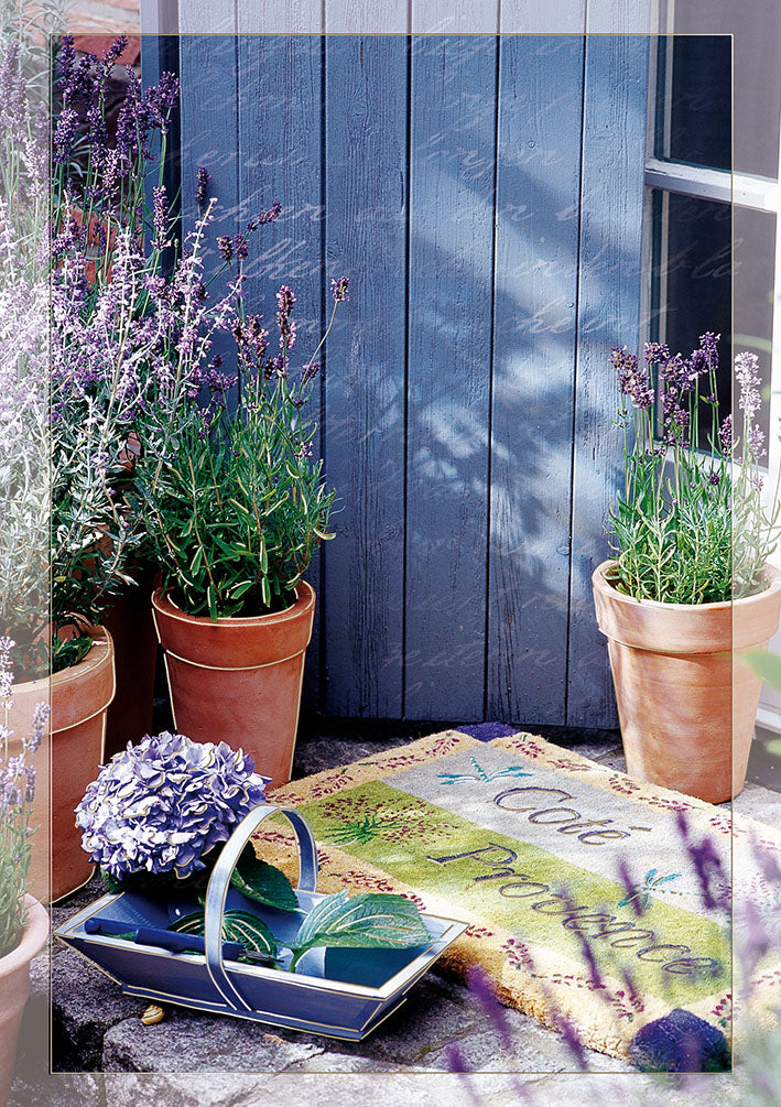 Blue Emotions Karte ohne Text „Lavendel vor der Tür“