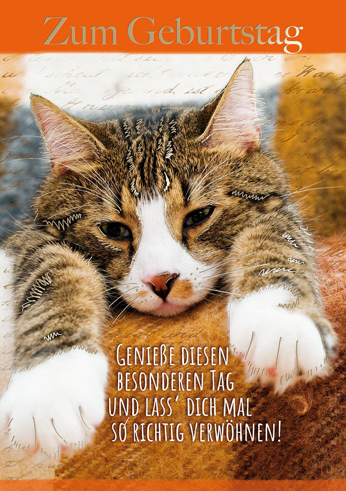 Blue Emotions Geburtstagskarte „Katze“