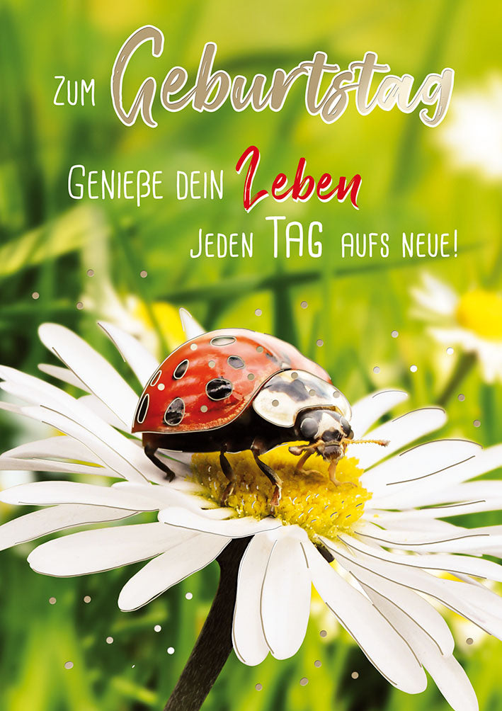 Mit freundlichen Grüßen Geburtstagskarte „Marienkäfer auf Margerite“
