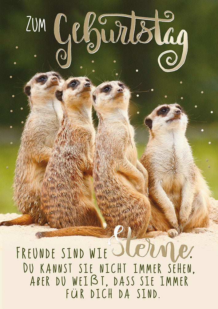 Mit freundlichen Grüßen Geburtstagskarte „Erdmännchen“