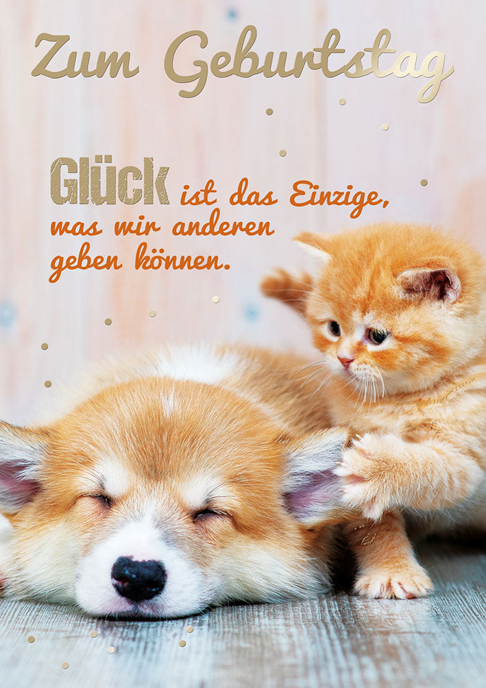 Mit freundlichen Grüßen Geburtstagskarte „Hund und Kätzchen“