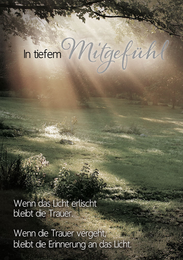 Mit freundlichen Grüßen Trauerkarte „Lichtstrahlen im Wald“