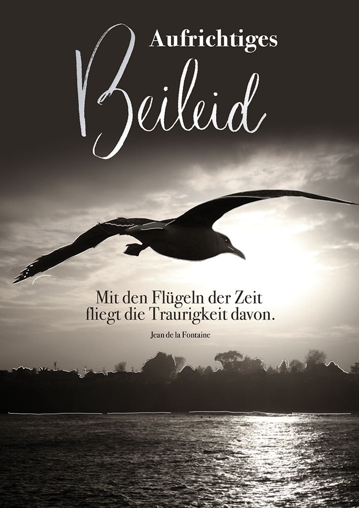Mit freundlichen Grüßen Trauerkarte „Möwe im Abendlicht“