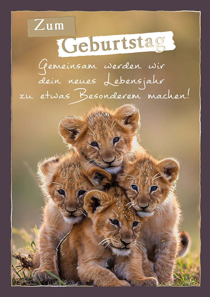 Wildcard Geburtstagskarte „Löwenbabys“