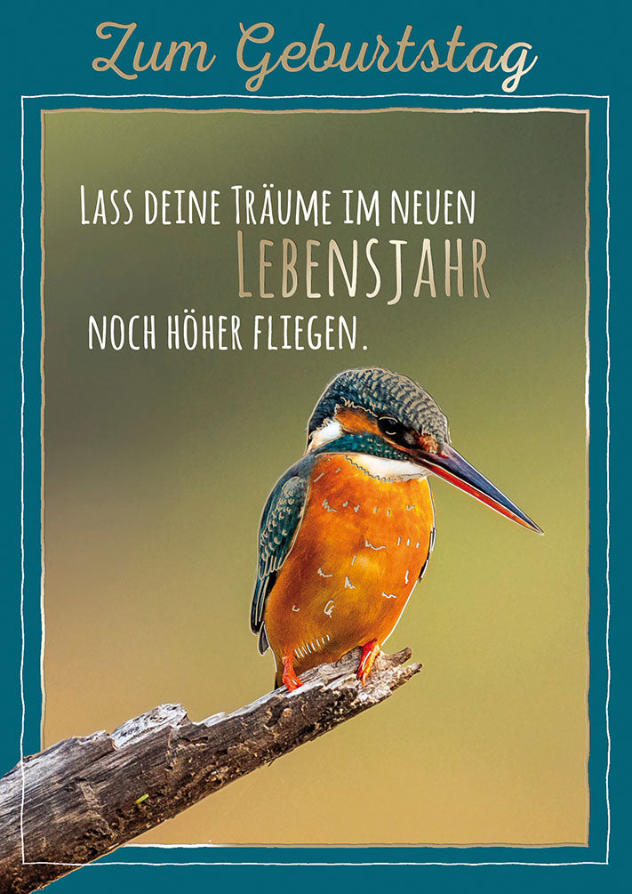 Wildcard Geburtstagskarte „Eisvogel“