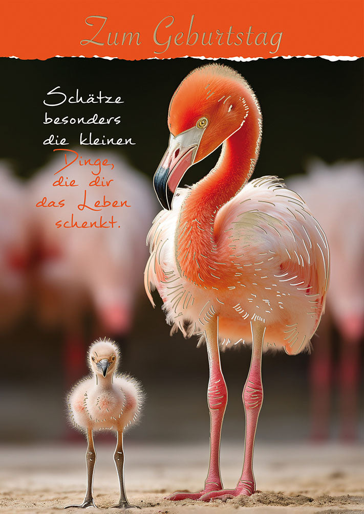 Wildcard Geburtstagskarte „Flamingo mit Küken“