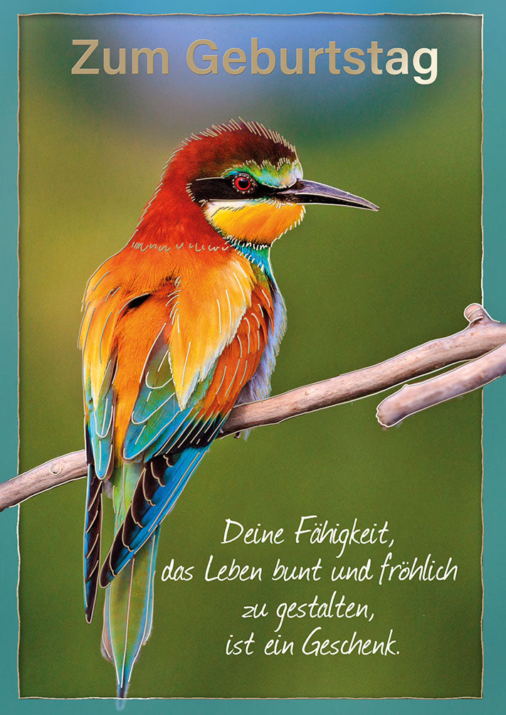 Wildcard Geburtstagskarte „Bienenfresser“