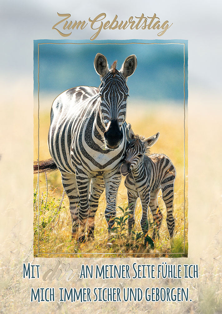 Wildcard Geburtstagskarte „Zebra mit Fohlen“