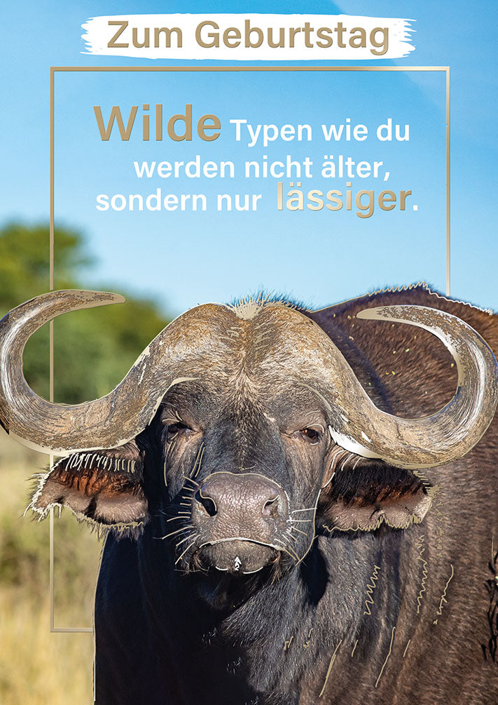 Wildcard Geburtstagskarte „Büffel“