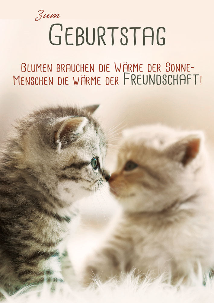 Geburtstagskarte „Kuschelnde Kätzchen“