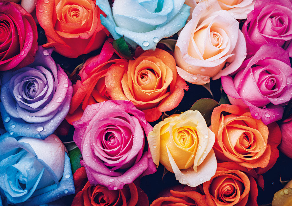 Amelie Glückwunschkarte „Bunte Rosen“