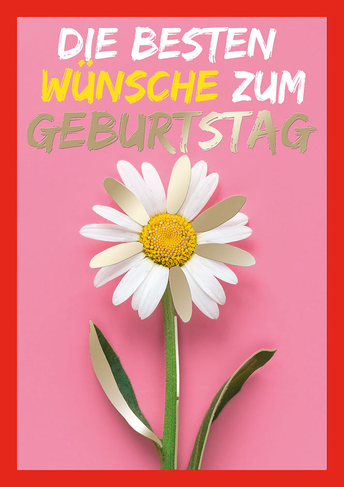 Farbrausch Geburtstagskarte „Margerite“