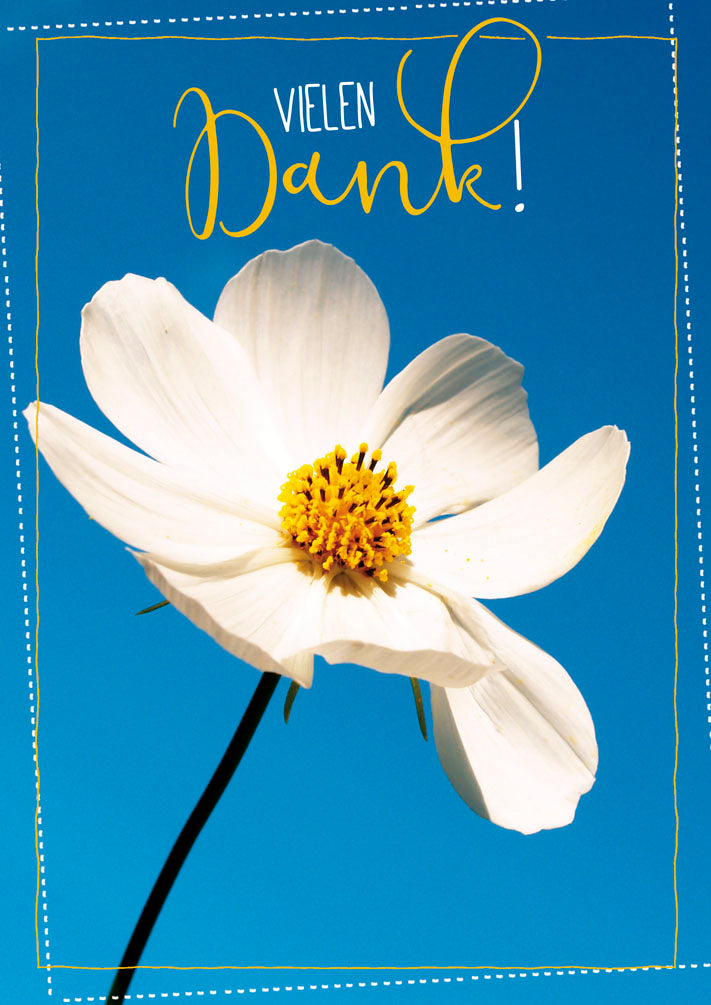 Dankeskarte „Weiße Blüte – Vielen Dank“