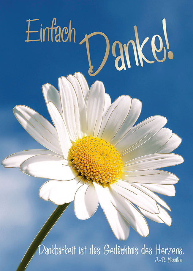 Dankeskarten „Margerite – Einfach Danke“, 5 Stück