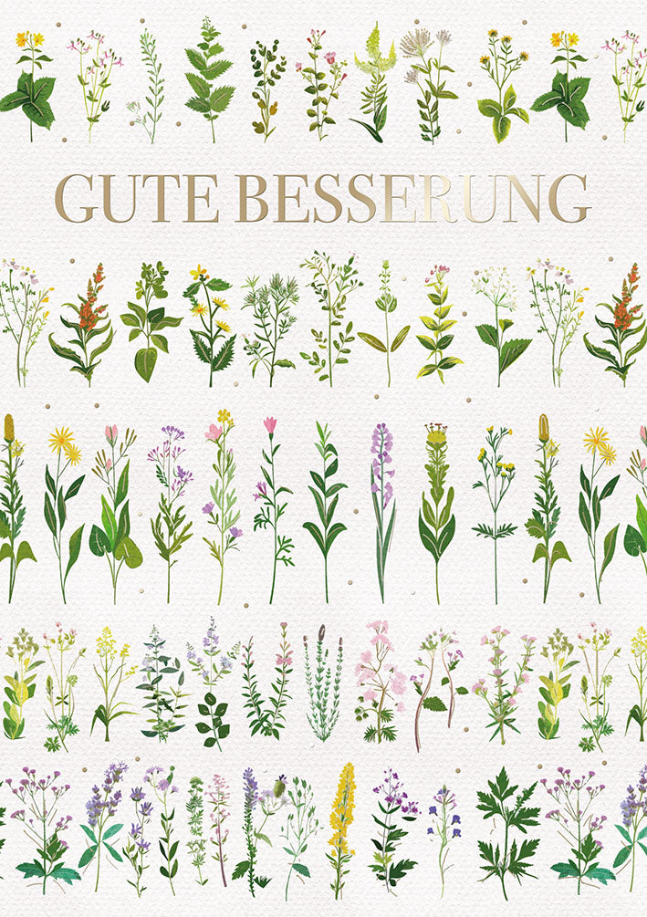 Genesungskarte „Wiesenkräuter – Gute Besserung“