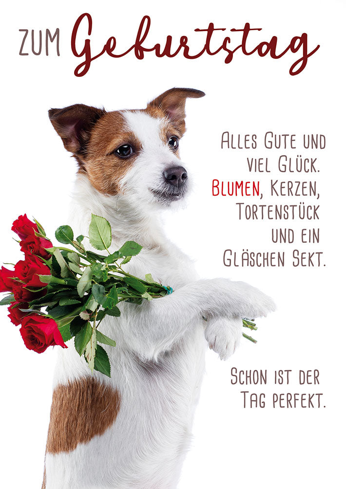 Geburtstagskarte „Hund mit Rosen“