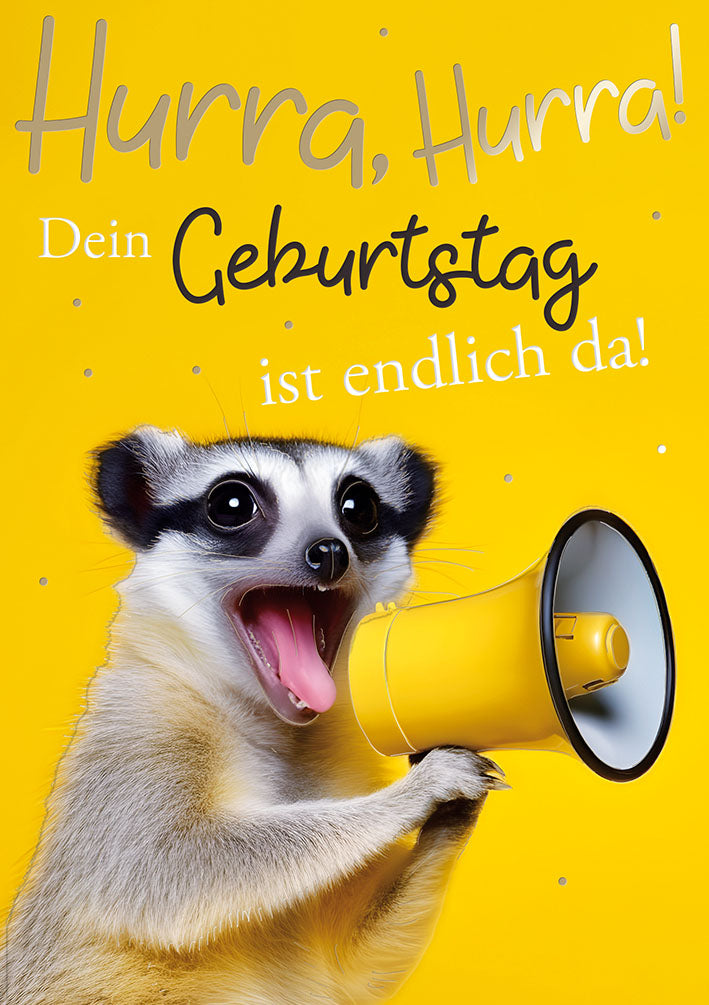 Loonycard Geburtstagskarte „Hurra, hurra“