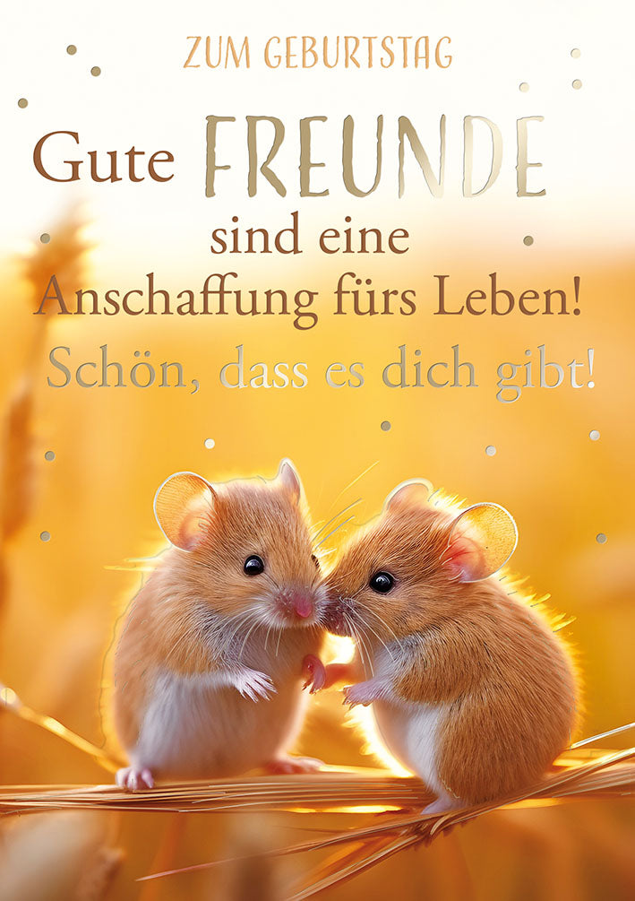 Loonycard Geburtstagskarte „Gute Freunde“