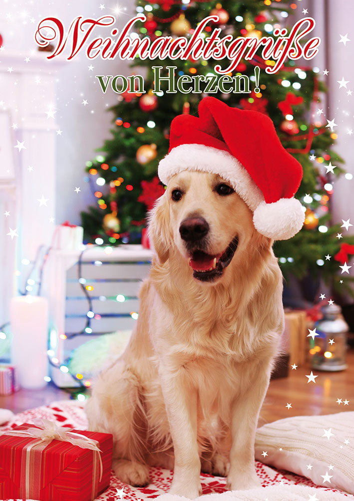 Weihnachtskarte „Hund mit Mütze“