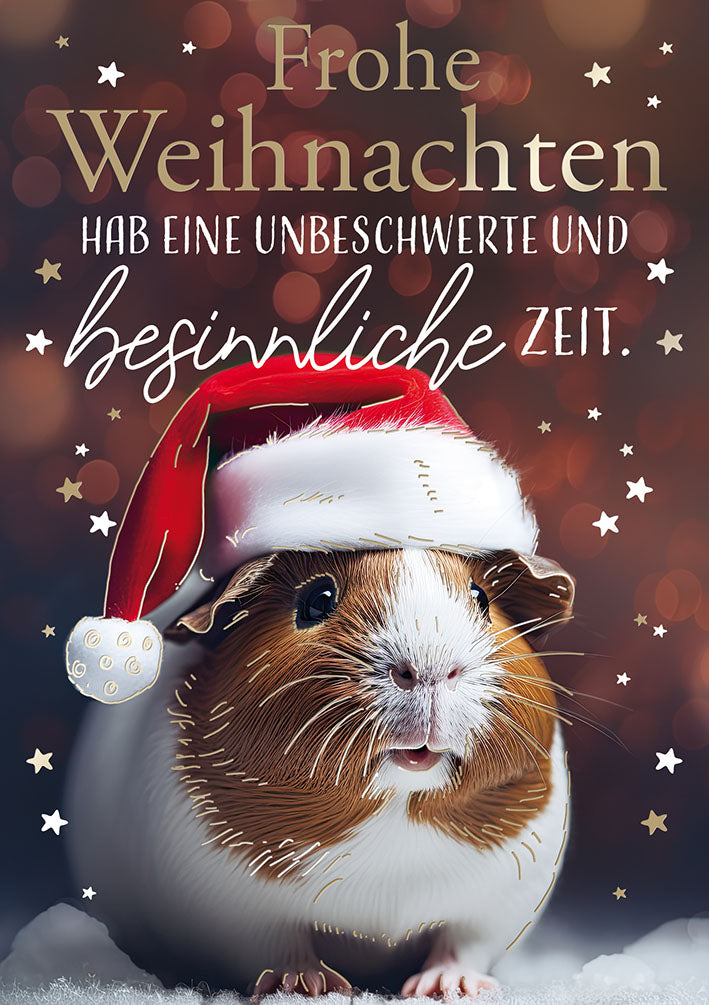 Weihnachtskarte „Meerschweinchen mit Mütze“