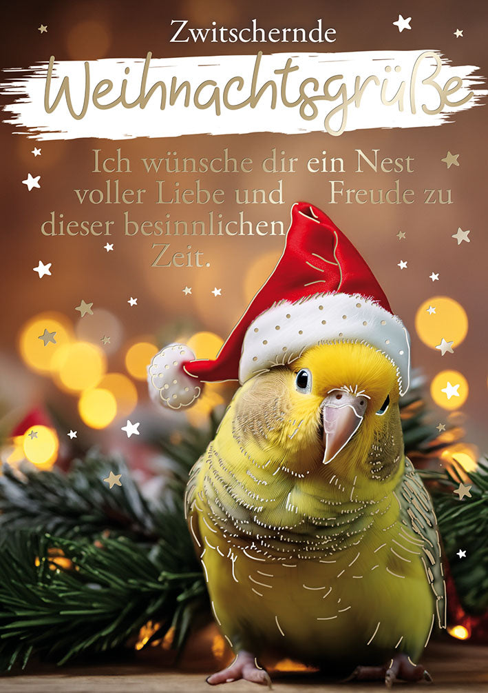 Weihnachtskarte „Wellensittich mit Mütze“