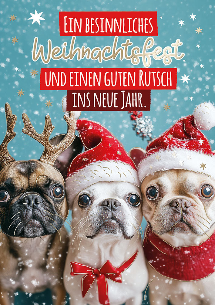 Weihnachtskarte „Möpse mit Mützen“