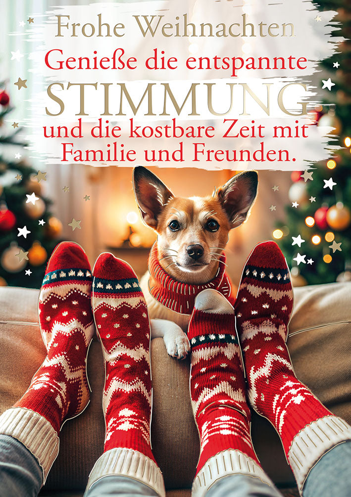 Weihnachtskarte „Hund mit Socken“
