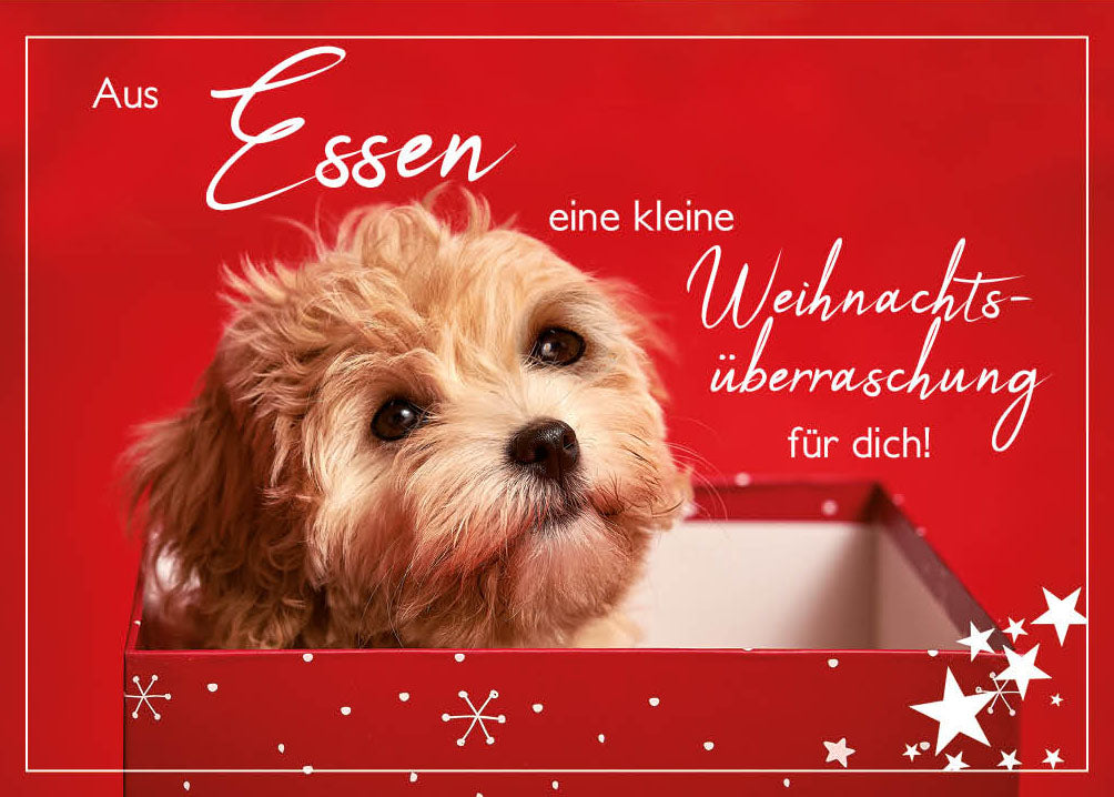 Grüße-aus-Karte Weihnachten „Welpe im Geschenk – Eine kleine Weihnachtsüberraschung“
