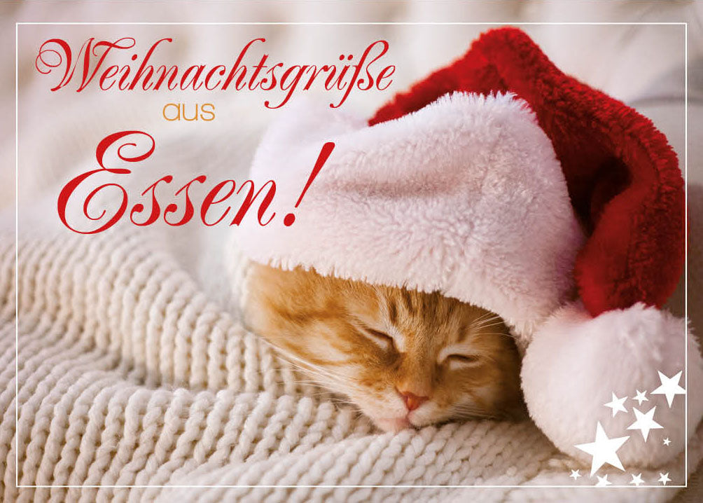 Grüße-aus-Karte Weihnachten „Kätzchen mit Weihnachtsmütze“