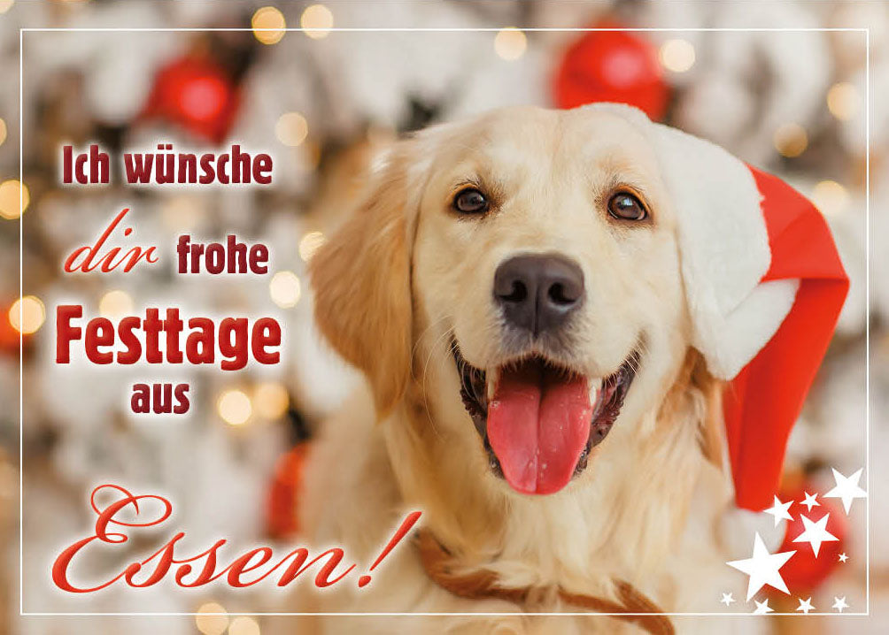 Grüße-aus-Karte Weihnachten „Hund mit Weihnachtsmütze – Frohe Festtage“