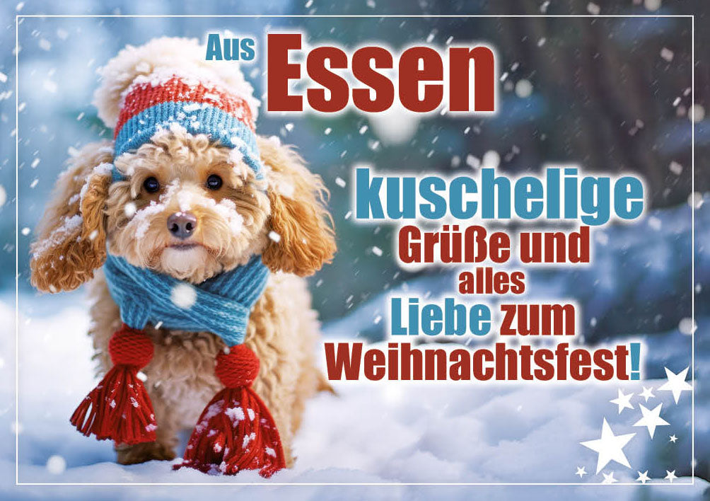 Grüße-aus-Karte Weihnachten „Pudel mit Schal – Kuschelige Grüße“