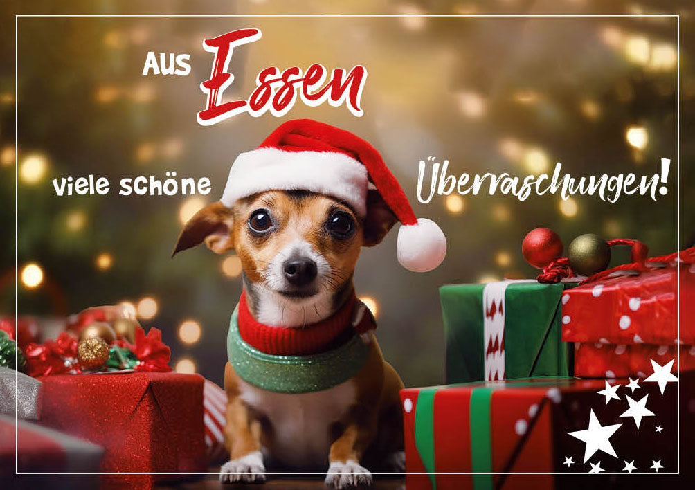 Grüße-aus-Karte Weihnachten „Hund mit Geschenken – Viele schöne Überraschungen“