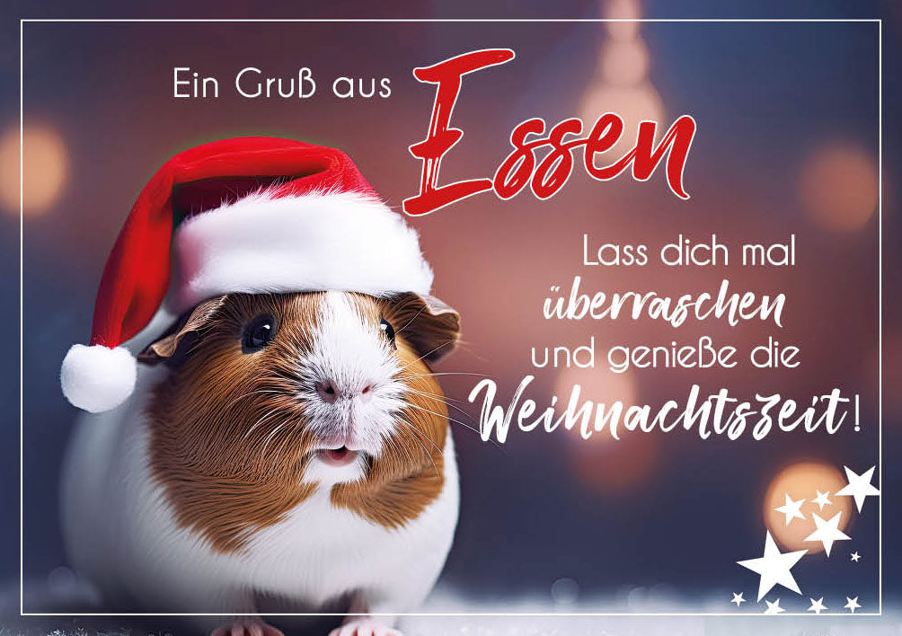 Grüße-aus-Karte Weihnachten „Meerschweinchen mit Mütze – Lass dich mal überraschen“